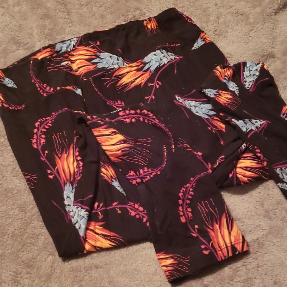 Lularoe tall and curvy leggings